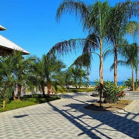 Uw Oasis Hotel La Ceiba Eksteriør billede
